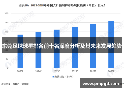 东莞足球球星排名前十名深度分析及其未来发展趋势